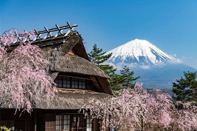 japan-mount-fuji-tour
