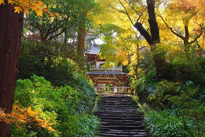 kamakura-zen-temples-and-gardens-private-trip-with-government-licensed-guide