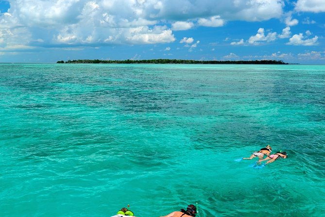 key-west-dolphin-watch-and-snorkel-tour-eco-adventure