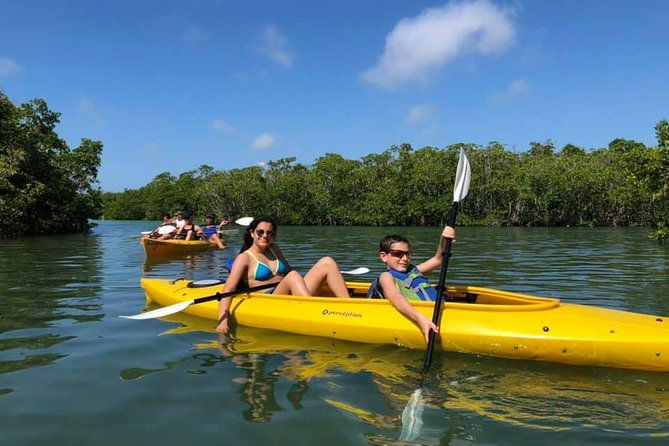 key-west-mangrove-kayak-eco-tour