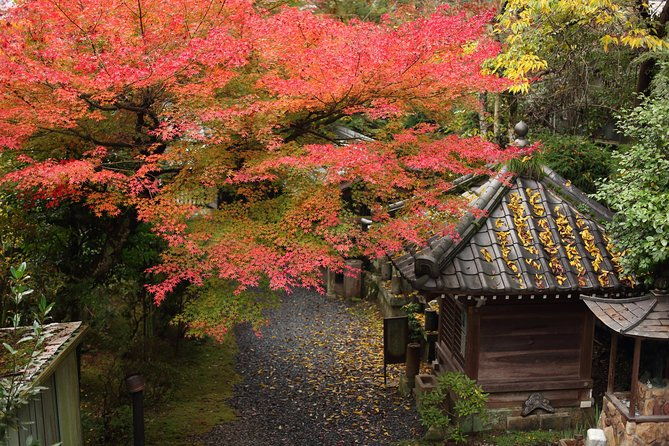kimono-and-tea-ceremony-in-miyajima