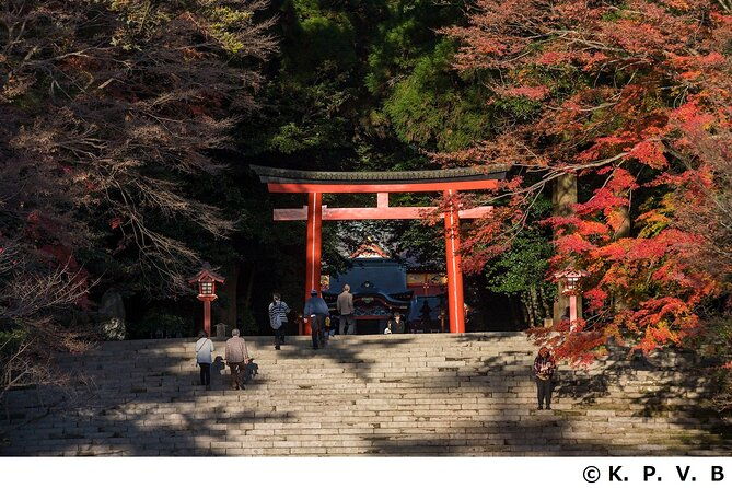 kirishima-shrine-and-ebino-kogen-trekking-private-tour