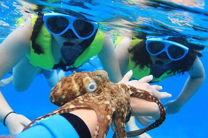 ko-olina-catamaran-sail-and-snorkel