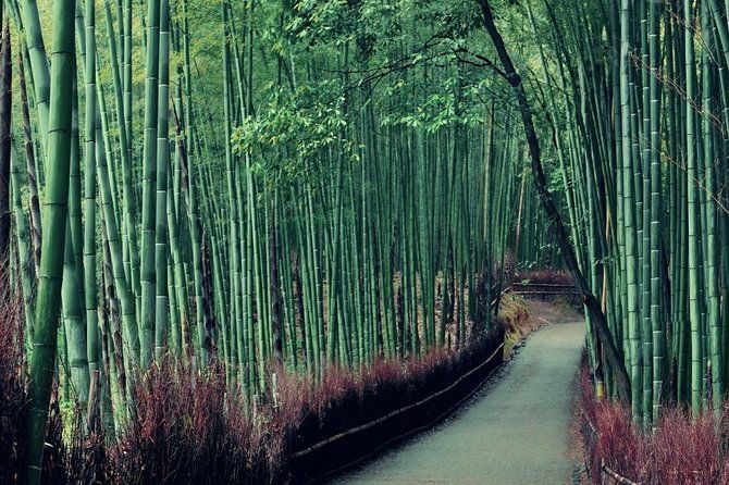 kobe-shore-excursion-to-kyoto