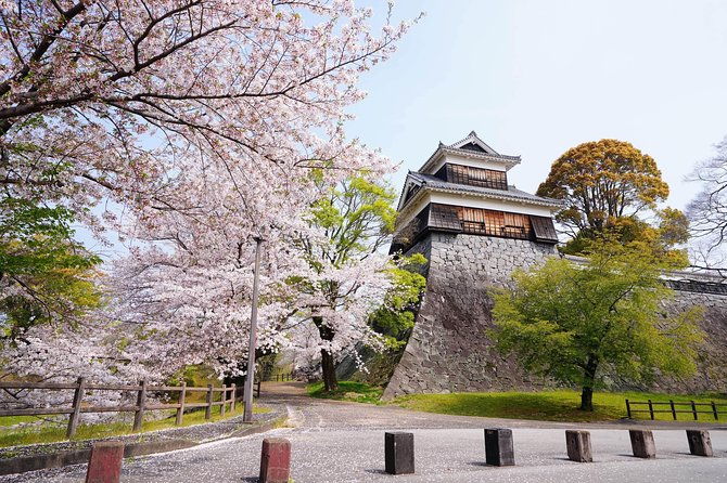 kumamoto-private-customizable-half-day-tour