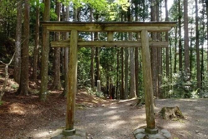 kumanokodo-2-day-walking-tour-from-osaka