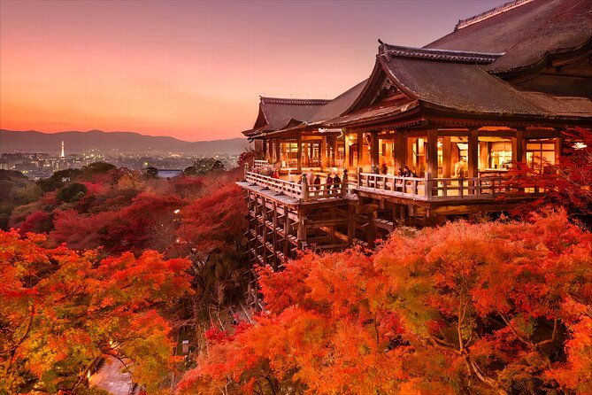 kyoto-and-nara-deer-sightseeing-day-trip-from-osaka