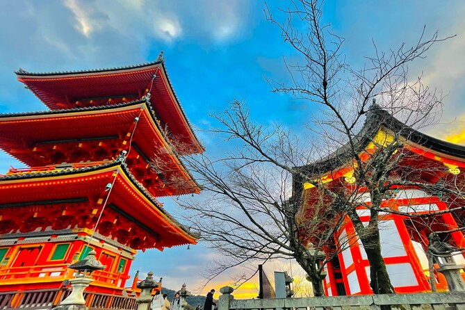 kyoto-day-tour-with-english-speaking-driver-pickup-osaka-kyoto