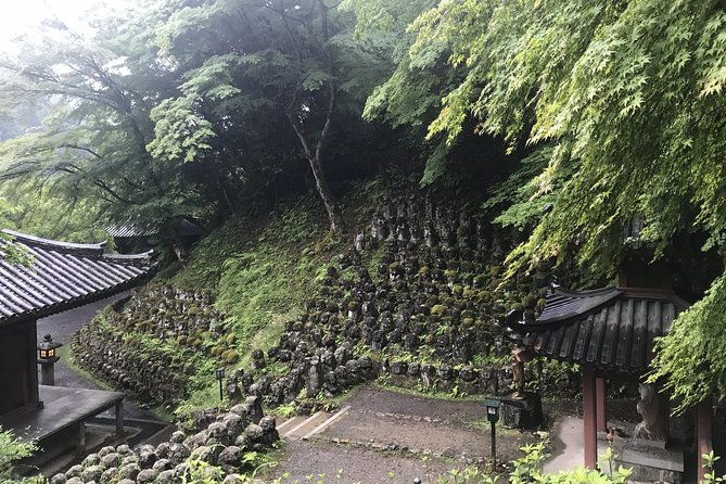 kyoto-descending-arashiyama-private