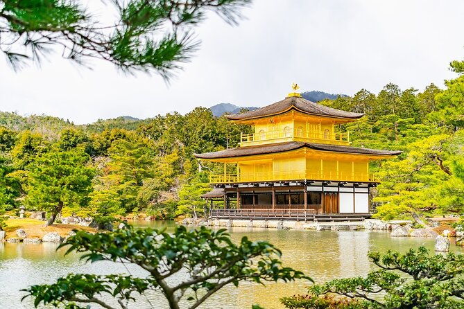 kyoto-private-tour-with-national-licensed-guide-from-osaka