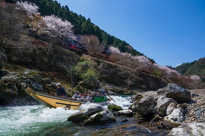 kyoto-sagano-romantic-train-with-cherry-blossoms-bus-tour