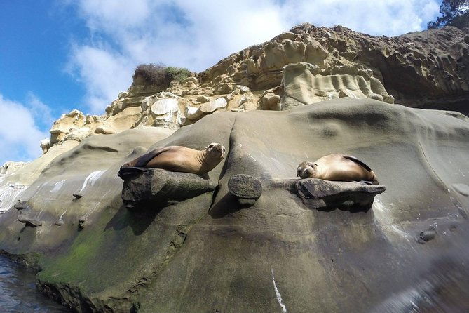 la-jolla-sea-caves-kayak-tour-for-two-tandem-kayak
