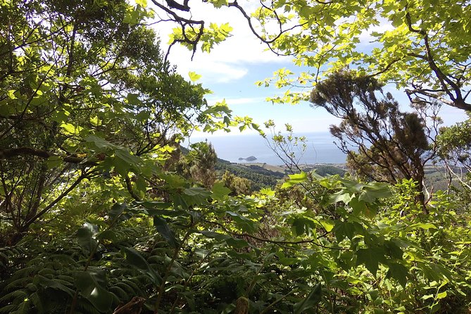 lagoa-do-fogo-walking-tour-with-lunch-from-ponta-delgada