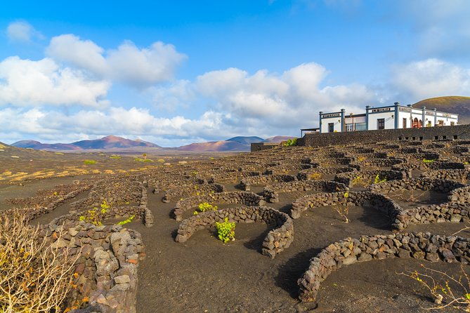 lanzarote-volcano-and-wine-region-tour-from-fuerteventura