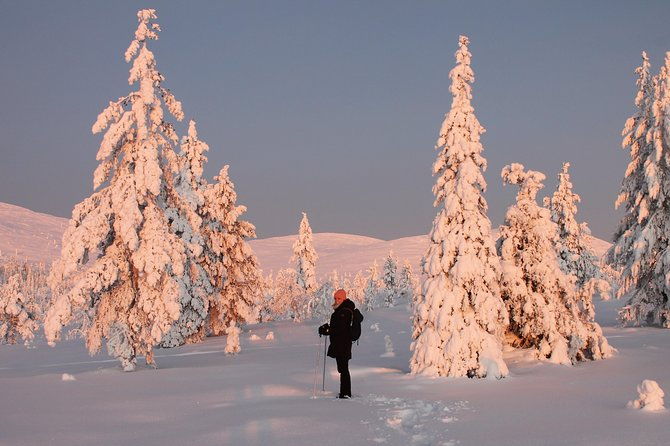 levi-snowshoeing-adventure-in-the-national-park