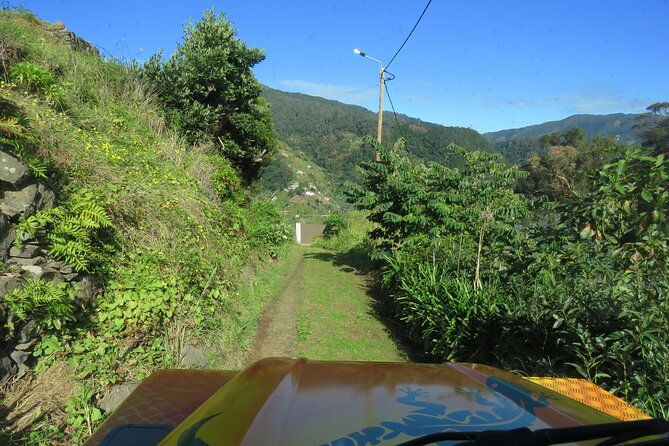 local-farmers-market-and-4wd-experience-from-funchal