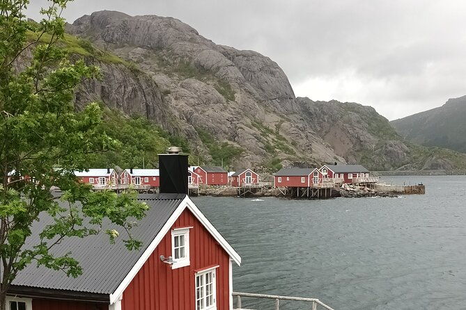 lofoten-vip-private-tour-from-leknes-city-port
