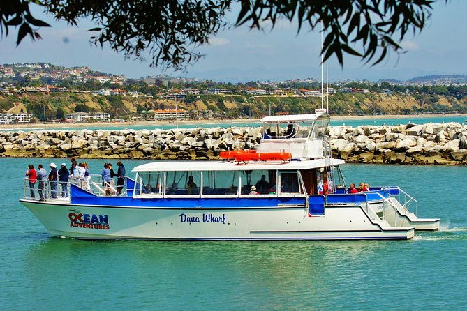 luxury-catamaran-sunset-and-wine-cruise-from-dana-point