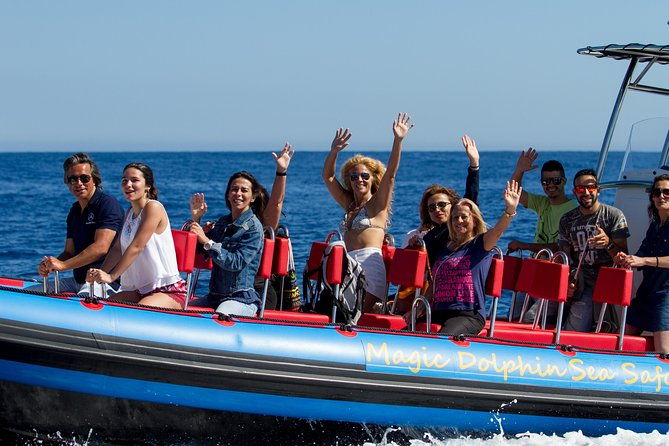 magic-dolphin-sea-safaris