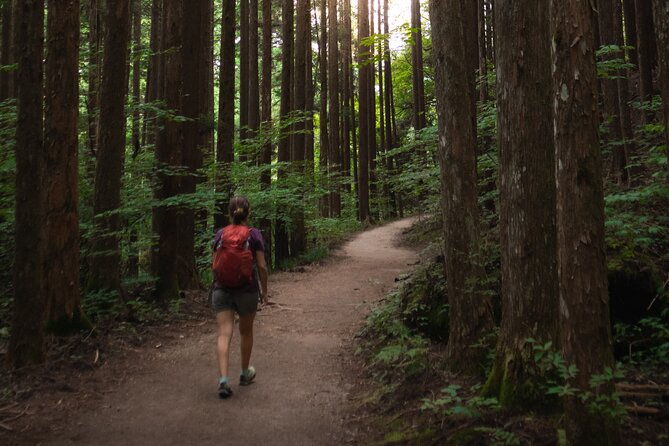 magome-tsumago-nakasendo-trail-day-hike-with-government-licensed-guide