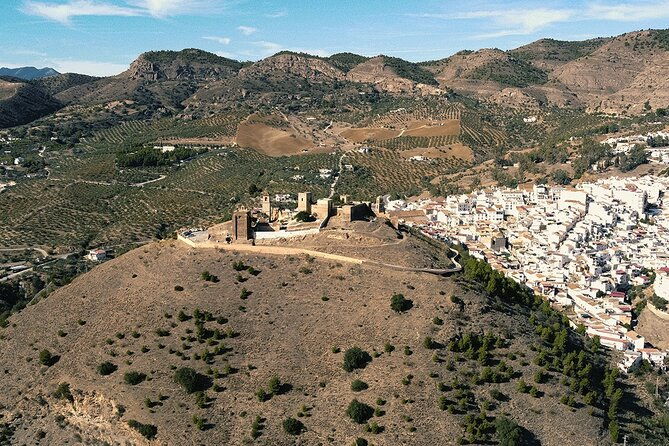malaga-small-group-tour-with-wine-tasting-culture-vineyard