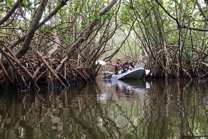mangrove-tunnels-dolphins-manatee-tour-1-rated-in-cocoa-beach
