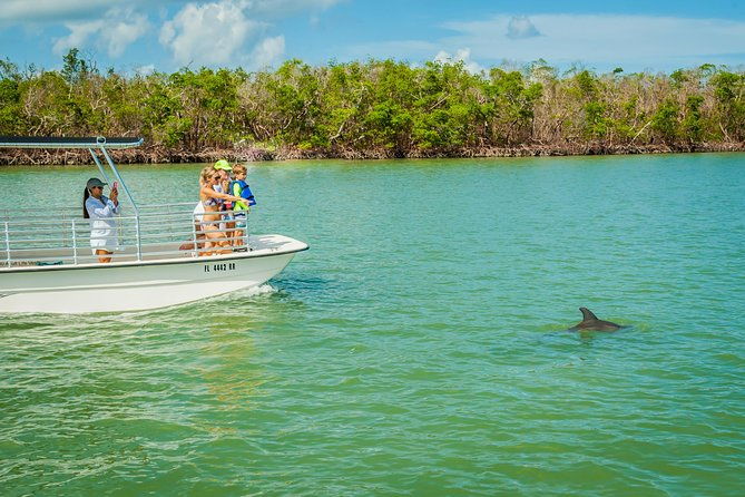 marco-island-dolphin-sightseeing-tour