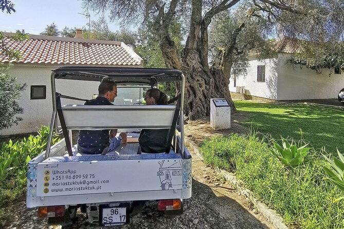 meet-santa-luzia-capital-of-octopus-salinas-in-a-100-electric-tuk-tuk