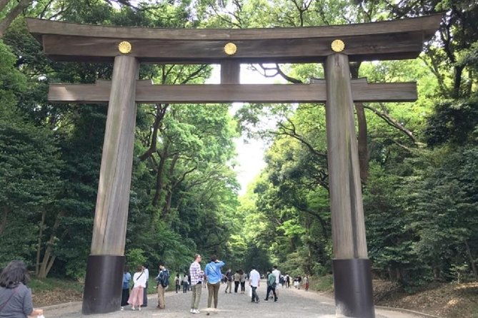 meiji-jingu-shrine-half-day-tour-by-public-transportation
