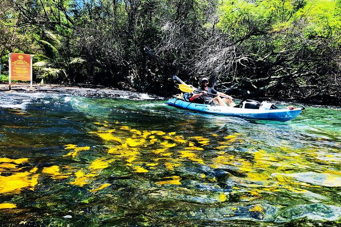 midday-meander-kealakekua-bay-kayak-and-snorkel-adventure