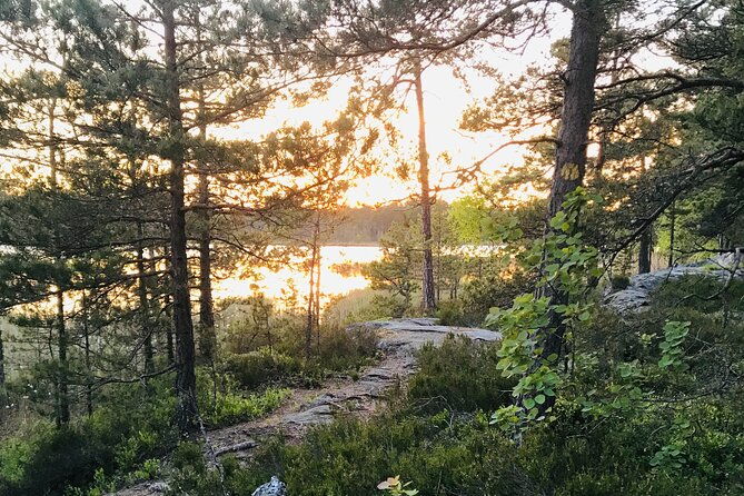 midnight-sun-and-campfire-forest-evening-hike-outside-stockholm
