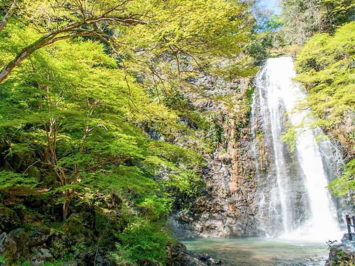 minoo-park-guided-nature-walk