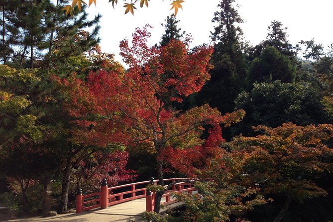 miyajima-full-day-tour