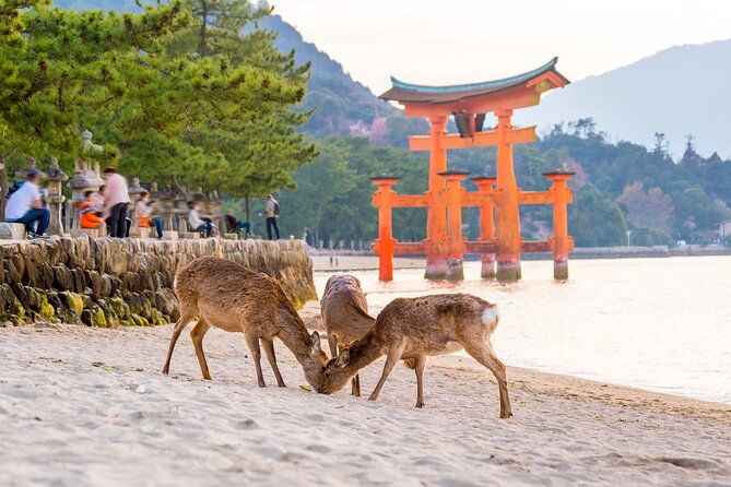 miyajima-island-day-tour-in-sacred-sites-and-mount-misen
