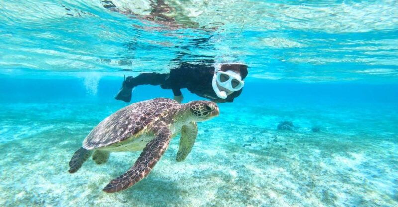 miyako-island-kayaking-and-snorkeling-experience