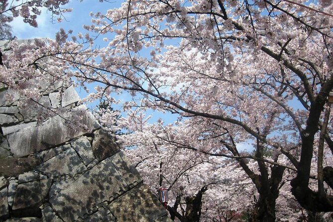 morioka-half-day-private-tour-with-government-licensed-guide