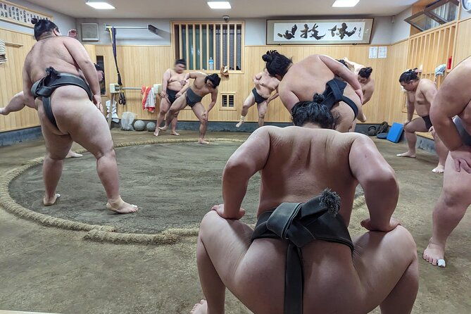 morning-sumo-practice-viewing-in-tokyo