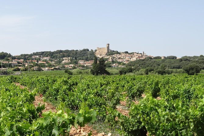 morning-wine-tour-to-chateauneuf-du-pape-from-avignon