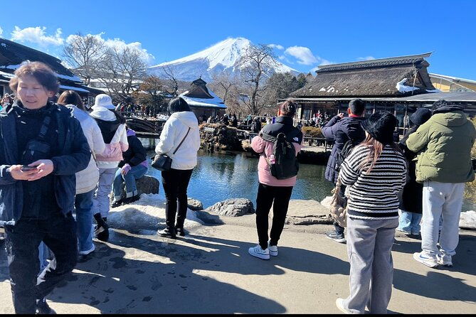 mount-fuji-and-hakone-day-trip-with-english-professional-guide
