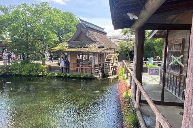 mount-fuji-customizable-one-day-private-guided-tour-from-tokyo-2