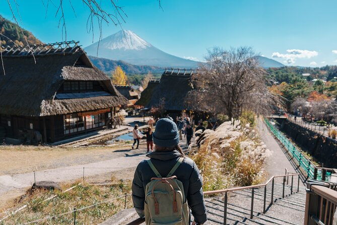 mount-fuji-customizable-private-tour-from-tokyo