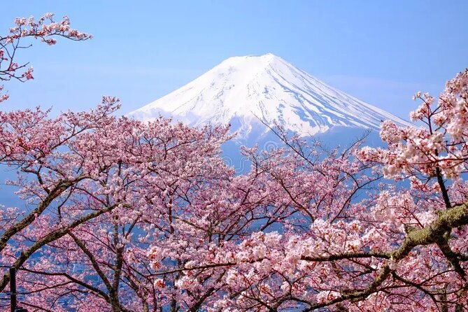 mount-fuji-full-day-private-tour-2