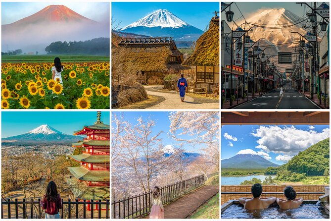 mount-fuji-hakone-private-customized-sightseeing-english-trip