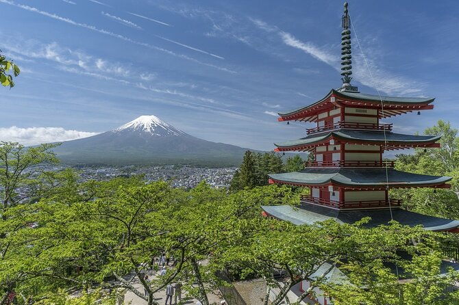 mount-fuji-hakone-private-guided-tour