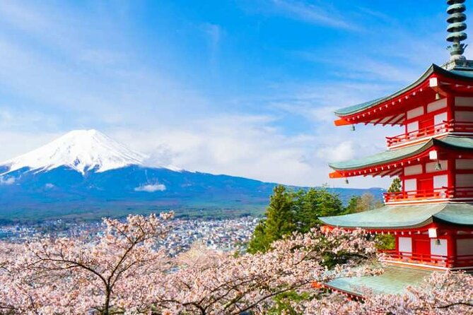 mount-fuji-sightseeing-one-day-tour-from-tokyo