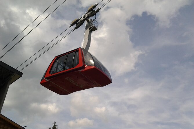 mount-pilatus-in-winter-small-group-tour-from-luzern