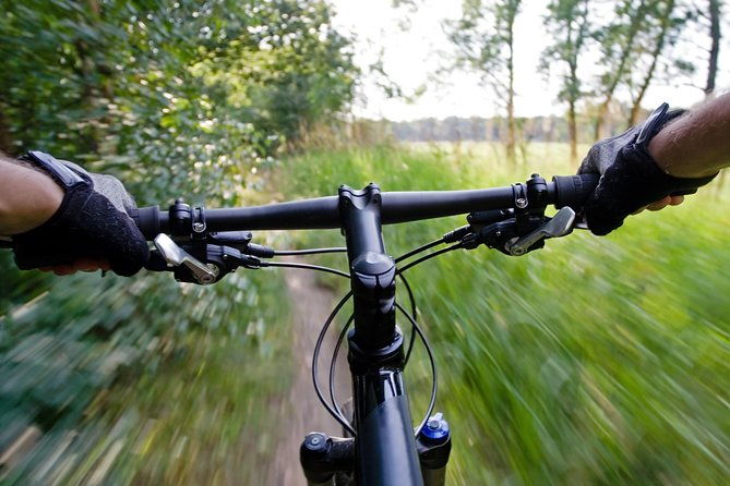 mountain-biking-small-group-in-stockholm-forests-for-beginners
