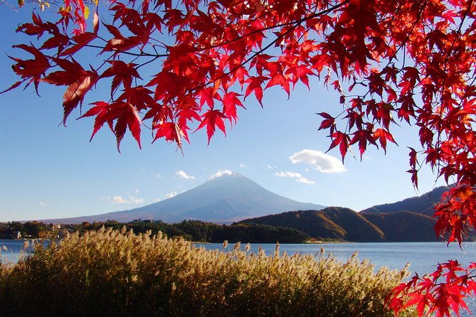 mt-fuji-5th-station-and-kawaguchiko-day-tour-from-tokyo