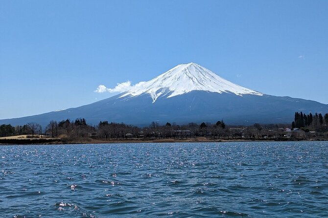 mt-fuji-and-cherry-blossom-day-trip-with-english-speaking-driver