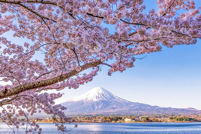 mt-fuji-and-lake-kawaguchi-scenic-1-day-bus-tour-from-tokyo